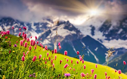 Le Dolomiti in fiore